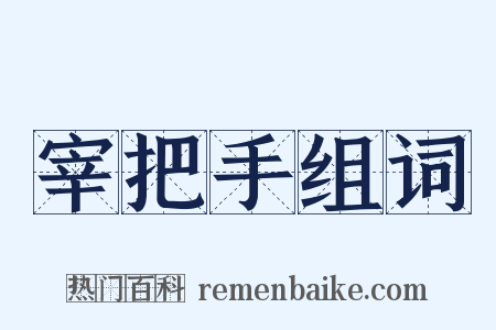 宰把手组词是什么意思的图片